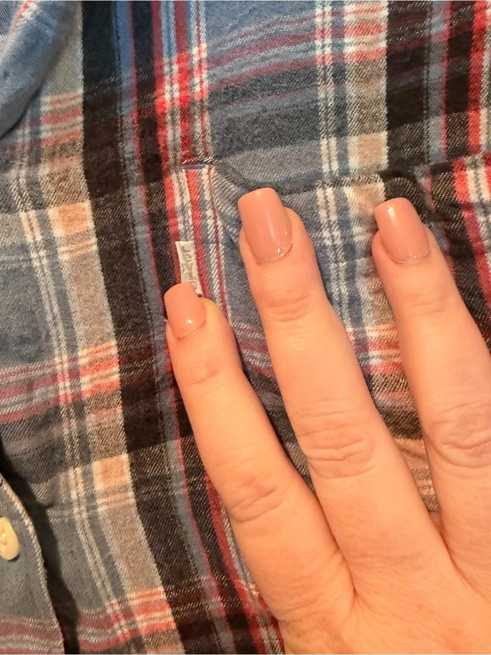 Levi's Blue and Red Plaid Button-Down Shirt Boyfriend Fit